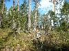 2003_0509_stok gevonden vidar.jpg